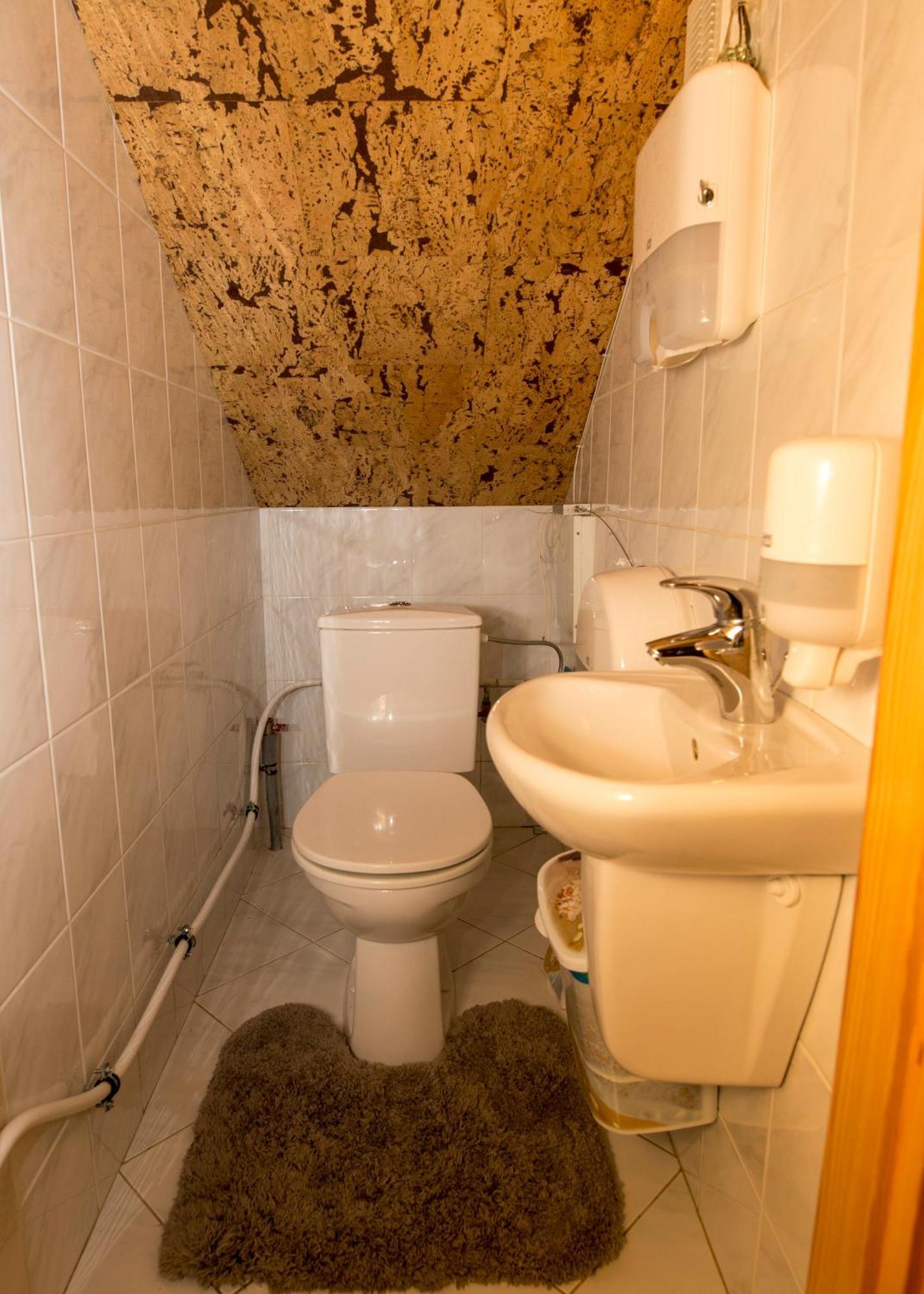 Vienaragio Apartamentai Apartment