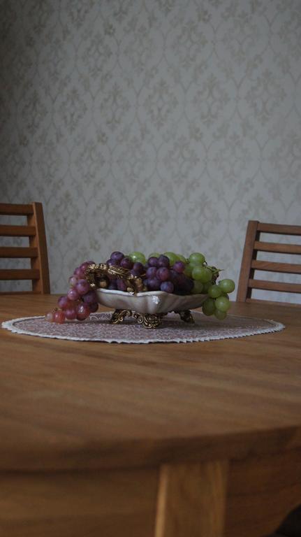 Vienaragio Apartamentai Appartement